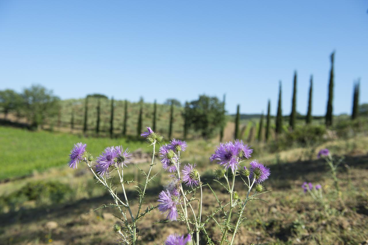Agriturismo Poggio Corbello La Pesta Εξωτερικό φωτογραφία