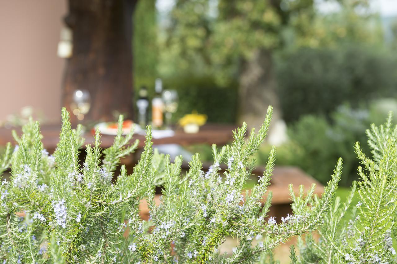 Agriturismo Poggio Corbello La Pesta Εξωτερικό φωτογραφία