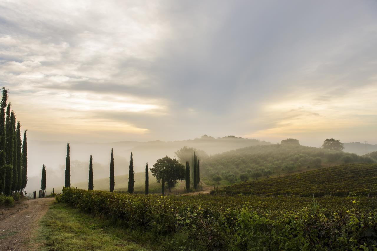 Agriturismo Poggio Corbello La Pesta Εξωτερικό φωτογραφία