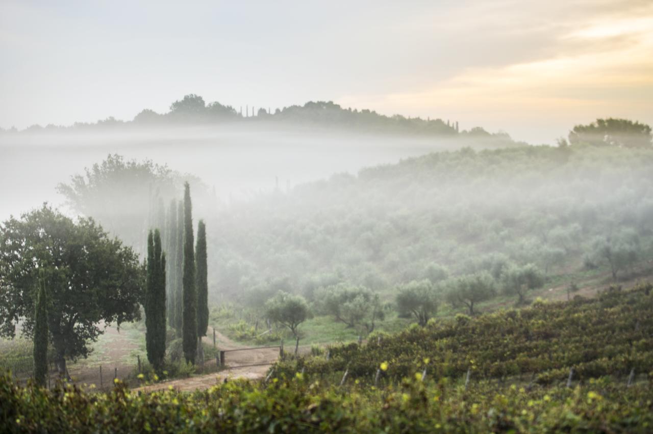 Agriturismo Poggio Corbello La Pesta Εξωτερικό φωτογραφία