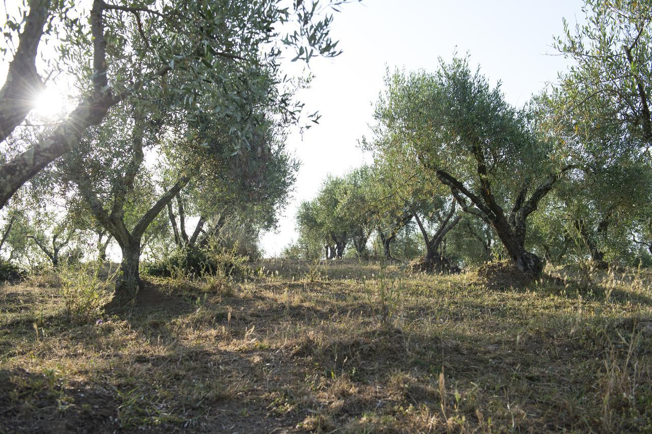 Agriturismo Poggio Corbello La Pesta Εξωτερικό φωτογραφία