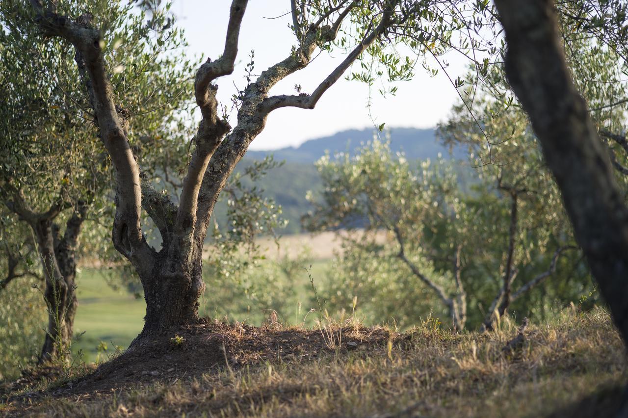 Agriturismo Poggio Corbello La Pesta Εξωτερικό φωτογραφία
