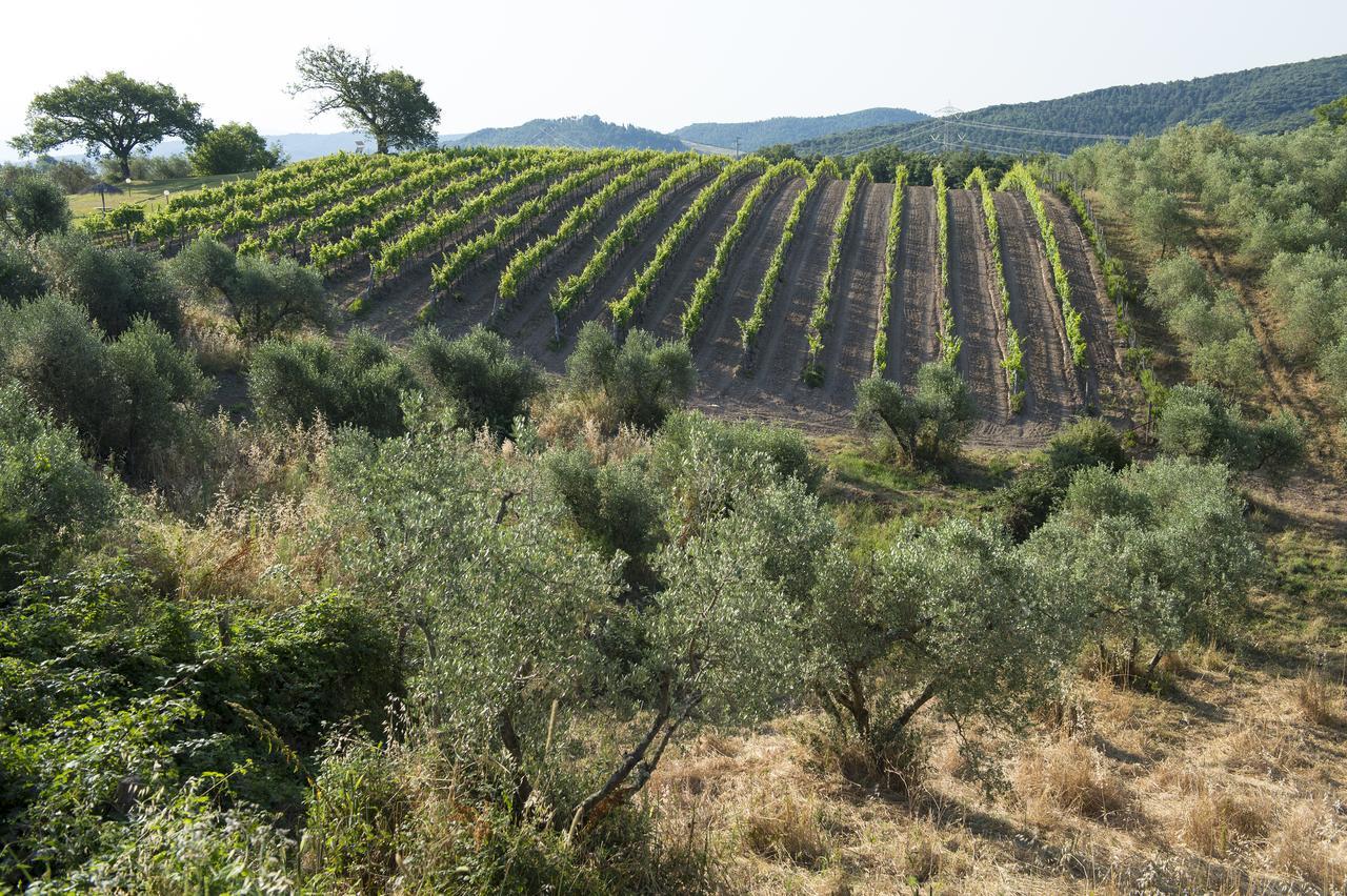 Agriturismo Poggio Corbello La Pesta Εξωτερικό φωτογραφία