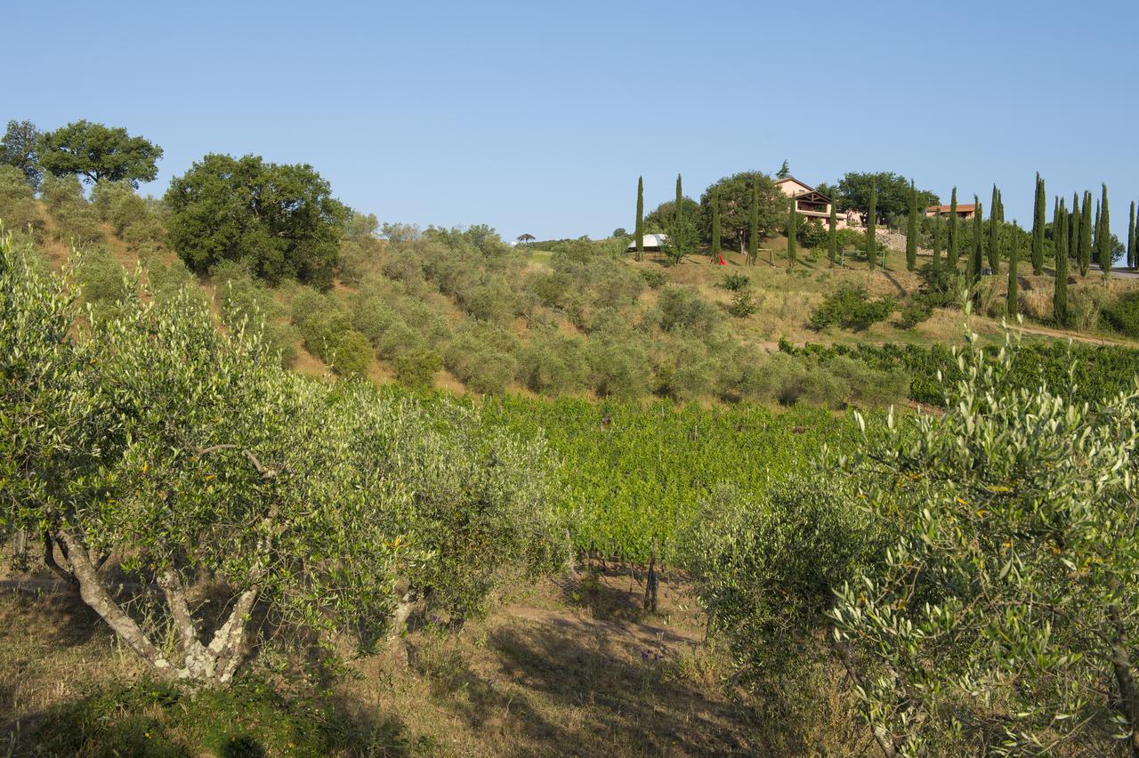 Agriturismo Poggio Corbello La Pesta Εξωτερικό φωτογραφία