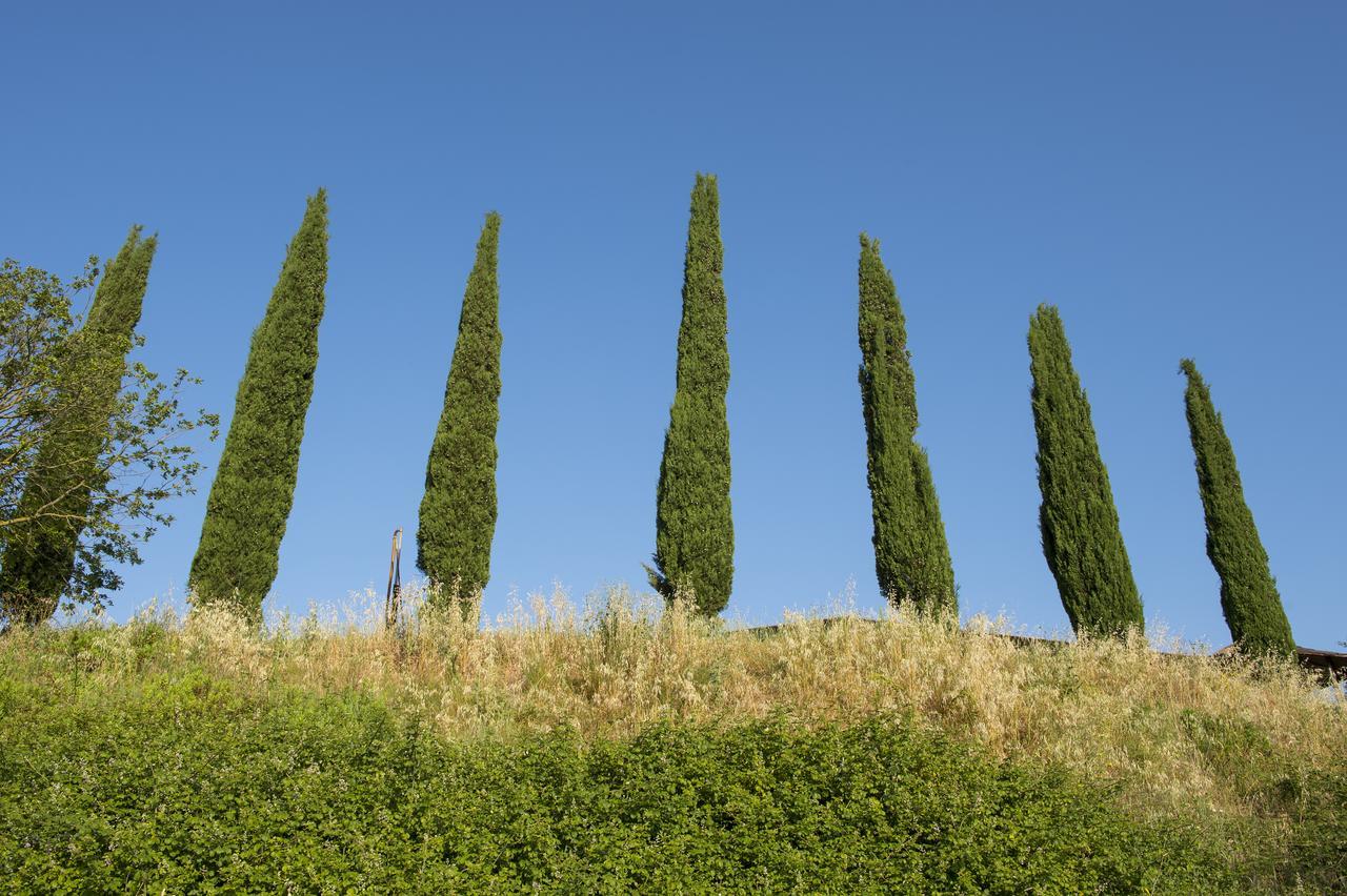 Agriturismo Poggio Corbello La Pesta Εξωτερικό φωτογραφία